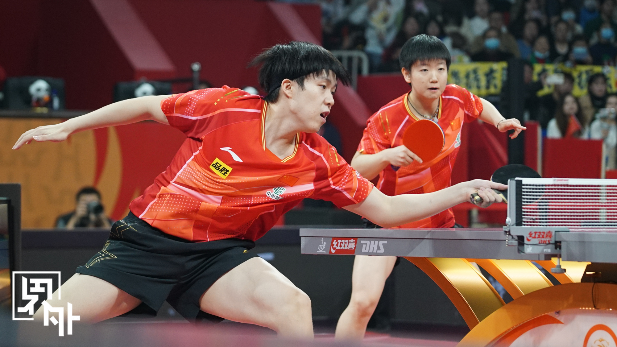 德国乒乓球队完胜比利时乒乓球队，波尔制霸全场的简单介绍