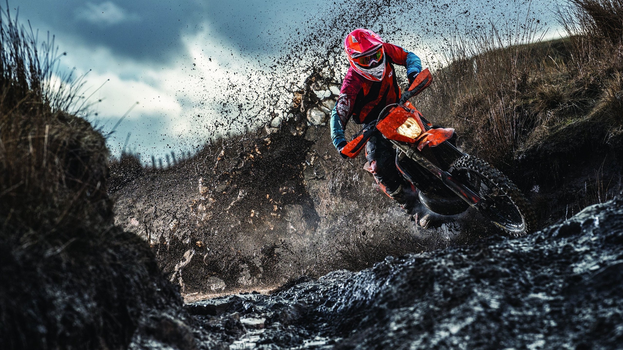 F1街道赛焦点战，公牛引擎轰鸣，凯尔特人防线碾压记